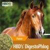 HBD’s®</br>DigestoPhlog
