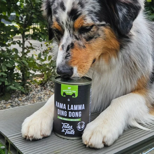 Rama Lamma Ding Dong Nassfutter Lamm für Hunde – Bild 3